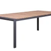 Alu Fixtisch Oriental Teak 220x100cm anthrazit