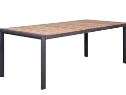 Alu Fixtisch Oriental Teak 220x100cm anthrazit