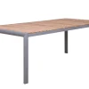 Alu Fixtisch Oriental Teak 220x100cm graphit