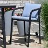 Alu Rope Barhocker Royal Orchid