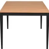 Gartentisch Alila Alu anthrazit mit Teakholz 220x100cm