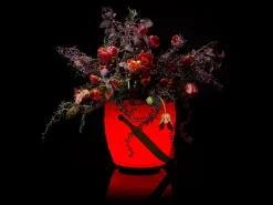 LED & Lautsprecher Sektkühler Blumenvase The Joouly Bowl LTD