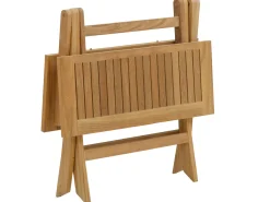 Premium Deluxe Teakholz Klapptisch Darwin 120x80cm