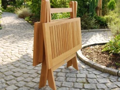Premium Deluxe Teakholz Klapptisch Darwin 120x80cm